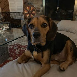 Meet your Posher, Joyce